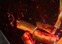 黄鳝血的功效与作用 黄鳝血的功效与作用用法