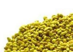 油菜花粉的功效与作用及食用方法（油菜花粉的功效与作用及食用方法图片）