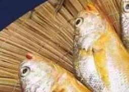 黄花鱼的营养价值及功效与禁忌 黄花鱼的营养价值