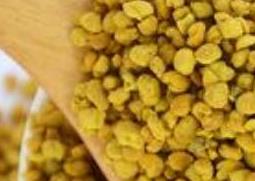 油菜蜂花粉的功效与作用（油菜蜂花粉的功效与作用是什么）
