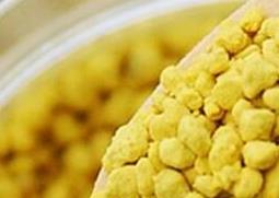油菜花粉的功效与作用 油菜花粉的功效与作用及食用方法