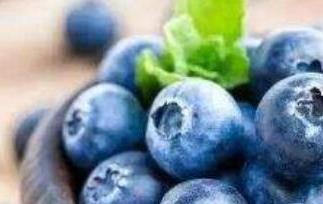 杜松浆果和蓝莓区别 杜松浆果和蓝莓区别在哪里