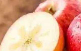 阿克苏苹果营养成分 阿克苏苹果的功效与作用