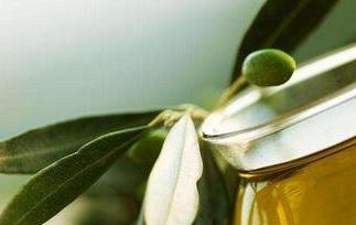 希腊橄榄油的营养价值与功效（希腊橄榄油的营养价值与功效与作用）