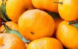 橘子不能和什么一起吃 橘子不能和什么一起吃 香哈