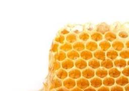 蜂巢蜂蜡怎样辨别真假 蜂巢蜜蜂蜡真假
