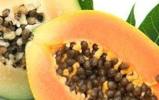 木瓜的功效与食用禁忌 木瓜的功效与食用禁忌症