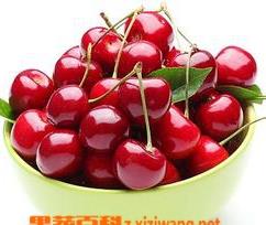樱桃酵素的功效与作用 樱桃酵素的功效与作用及副作用