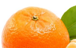 橘子的营养价值与功效有哪些 橘子的营养价值与功效