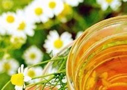 野菊花蜂蜜的功效和作用 野菊花蜂蜜的作用与功效