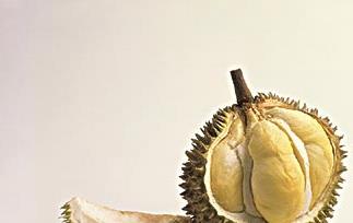 榴莲壳怎么吃 榴莲壳的营养价值 榴莲壳怎么吃