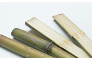 甘蔗的功效和作用 绿皮甘蔗的功效和作用