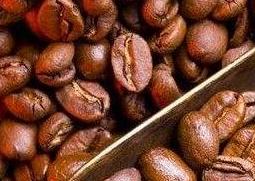 咖啡豆的种类及口味（咖啡豆的种类及口味 知乎）
