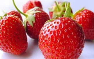 草莓视频app在线无限看免费丝瓜苏州晶体公司红楼梦 草莓