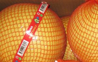 黄金蜜柚的功效与作用 蜜柚的功效与作用