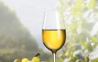 自制葡萄酒的做法 自制葡萄酒的做法及配方
