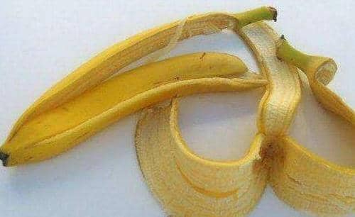 香蕉皮怎么吃，香蕉皮的正确吃法 如何吃香蕉皮
