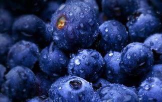 蓝莓的功效与作用 蓝莓的功效与作用是凉性还是热性