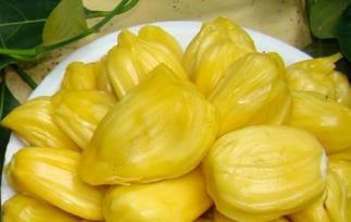 菠萝蜜的营养价值及功效与作用 菠萝蜜的营养价值