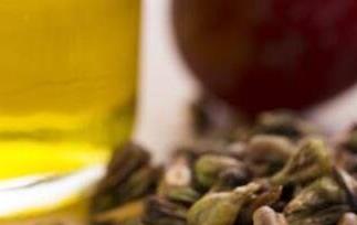 葡萄籽的功效 葡萄籽的功效与作用及副作用