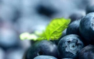 怎么挑蓝莓是否新鲜 夏季新鲜蓝莓如何挑选