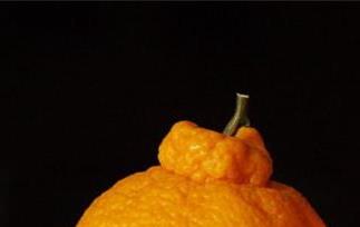 吃丑橘的好处和坏处是什么 吃丑橘的好处和坏处