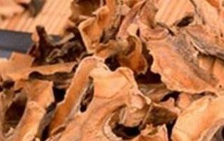 核桃分心木的功效与作用 女人喝核桃分心木的功效与作用