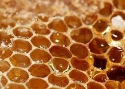 蜂巢和蜂蜡的区别在哪里 蜂巢和蜂蜡的区别