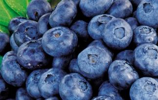 蓝莓的营养价值与功效 蓝莓的功效和营养价值