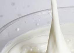 纯牛奶敷脸的功效与作用 纯牛奶敷脸的功效与作用及禁忌