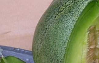 绿宝香瓜的营养价值和功效 绿宝香瓜的营养价值