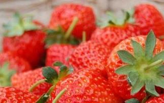 草莓用什么水果催熟最快 草莓用什么水果催熟