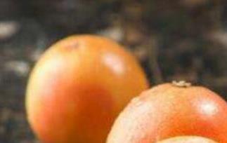 葡萄柚的功效与作用营养价值 葡萄柚的功效与作用