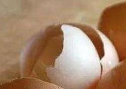 鸡蛋壳如何去除水壶的水垢 鸡蛋壳怎么去除水壶里的水垢