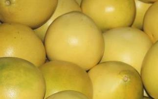 柚子的食疗功效与禁忌 柚子的食疗功效