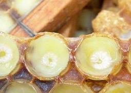 男人吃蜂王浆的作用与功效 蜂王浆的作用与功效
