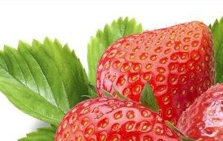 草莓的好处和功效有哪些 草莓的好处与功效