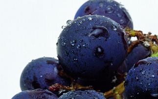 葡萄吃多了怎么样减肥 葡萄吃多了怎么样