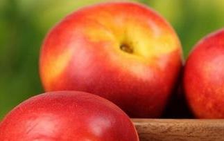 油桃的营养价值有哪些 油桃的营养价值有哪些品种