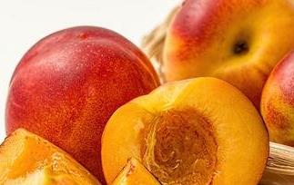 油桃的功效与作用及禁忌 油桃的功效与作用及禁忌是什么