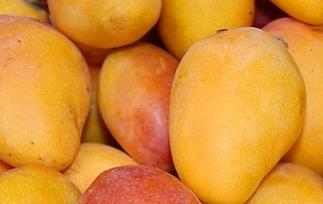 怎么吃芒果会过敏呢 怎么吃芒果会过敏