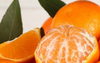 橘子跟桔子有什么区别 橘子跟桔子有什么区别和功效