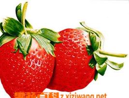 草莓的营养价值和功效 草莓的营养价值和功效和禁忌