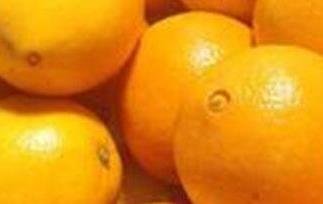 橙子不能和什么一起吃香哈 橙子不能和什么一起吃