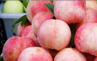 水蜜桃的营养价值及功效与作用 水蜜桃的营养价值