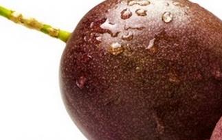 西番莲是什么水果 西番莲是什么
