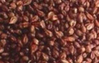 澳洲葡萄籽怎么吃 葡萄籽怎么吃