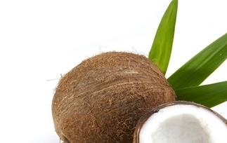 椰子肉的功效与作用 椰子的功效与作用