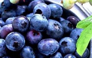吃蓝莓的好处与坏处 吃蓝莓会有什么好处