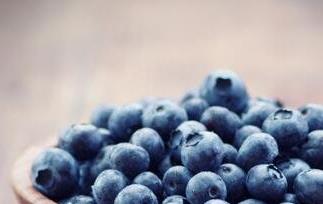蓝莓的功效与作用 蓝莓的功效与作用一天吃多少